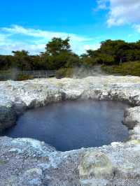 新西蘭必打卡地熱溫泉公園Rotorua