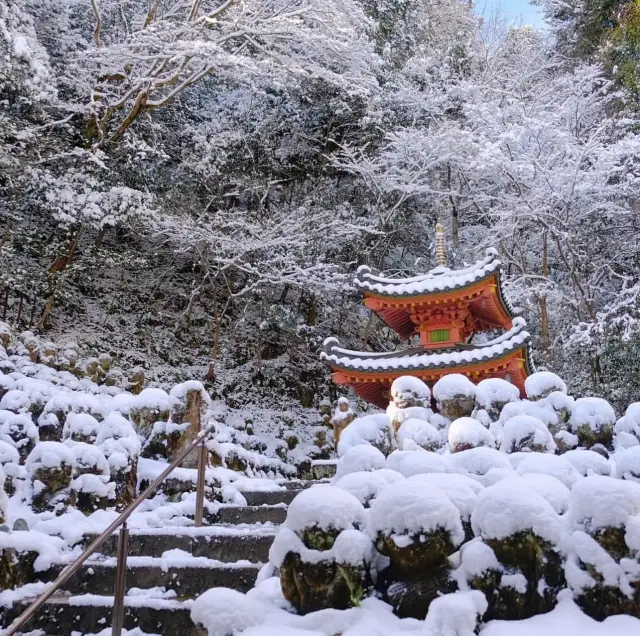 日本京都｜你敢說它不是最可愛的寺廟