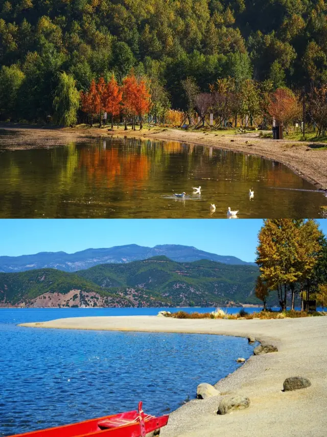 I thought Erhai Lake was beautiful, until I went to Lugu Lake