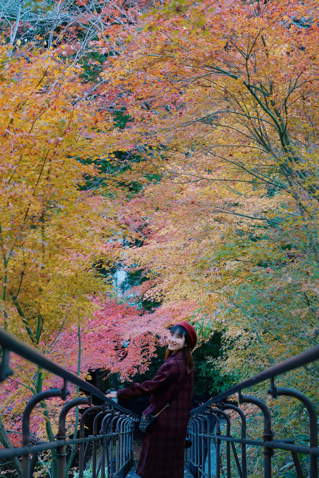 大阪周邊 | 天啊，紅葉季這家溫泉旅館竟然堪比琉璃光院！