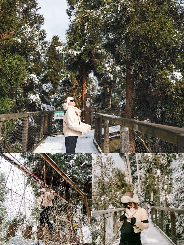 武隆仙女山冰雪季，邂逅冬日童話！