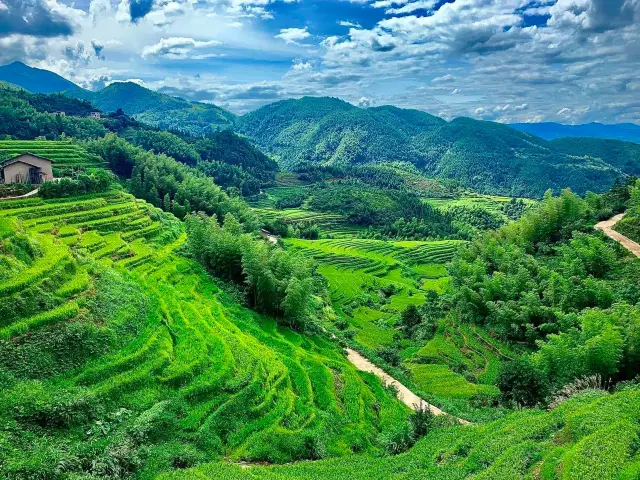 Taoyuan Terraced Fields Scenic Area