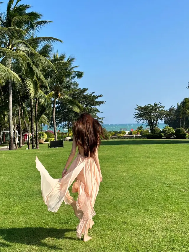 Venture into a coconut grove in Sanya|||Go to a place with wind~