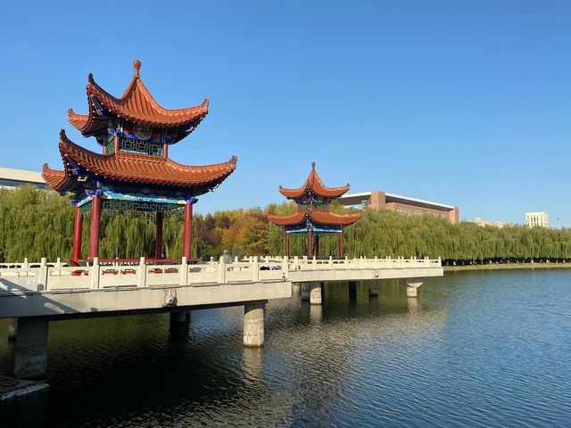 今日遊玩推薦：長春南湖公園綠意盎然，南湖公園等你來探秘