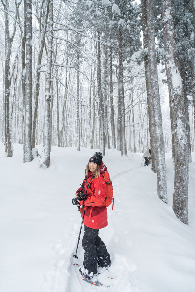 不滑雪了雪國邂逅美人林 雪地徒步進森林