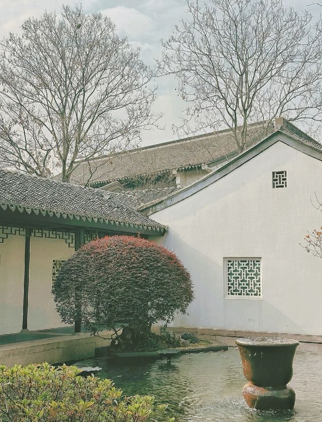 這是被譽為四季酒店天花板的杭州西子湖四季酒店，雖然已有些年頭，但此次入住還是頗有驚喜