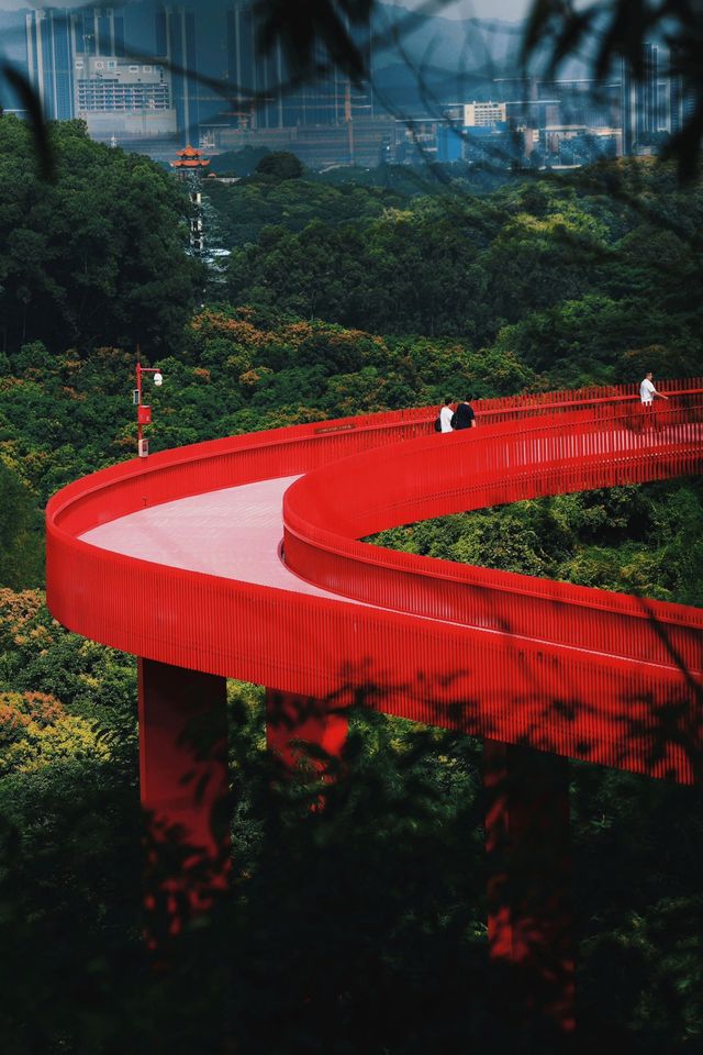 來深圳必打卡絕美公園｜虹橋公園|||