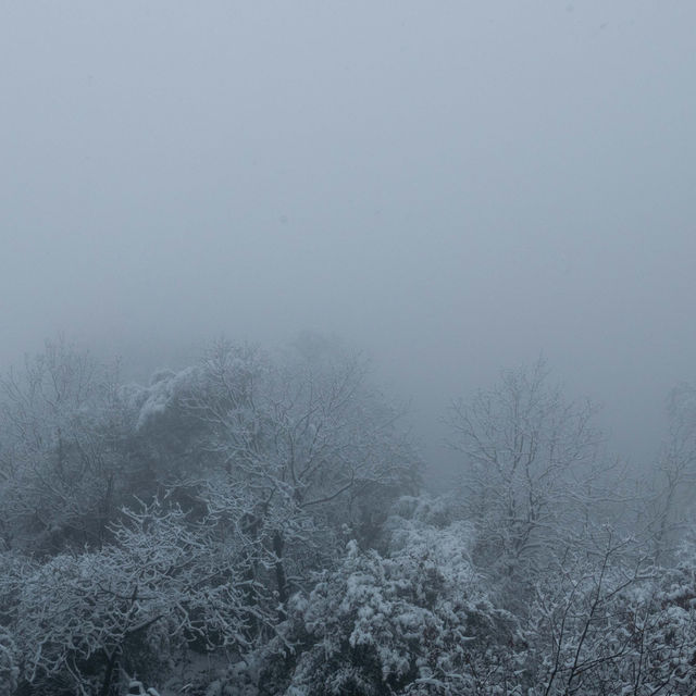 美哭 下雪天的北高峰宛若仙境