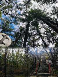 魯山國家森林公園丨淄博海拔最高的山