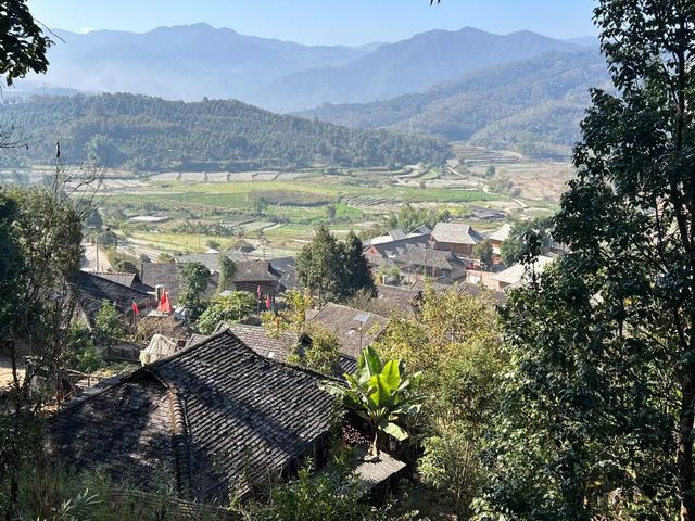 景迈山登山深度體驗攻略-看雲海觀日落，走茶林品茶香尋秘古村落