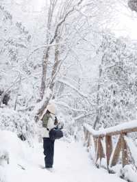 遠離人群，這個地方太適合雪地撒歡啦