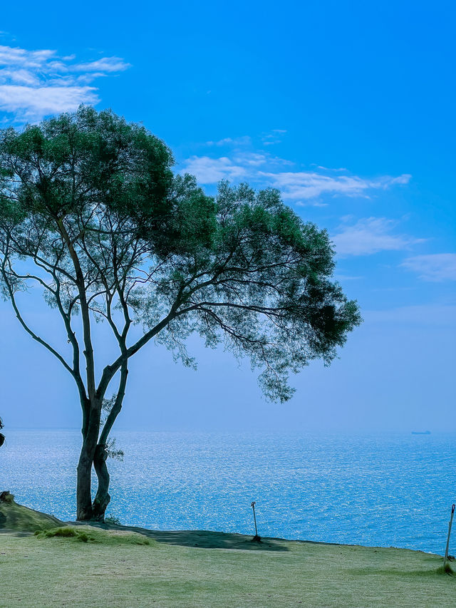 小白來汕頭南澳島，閉眼抄的無踩雷攻略