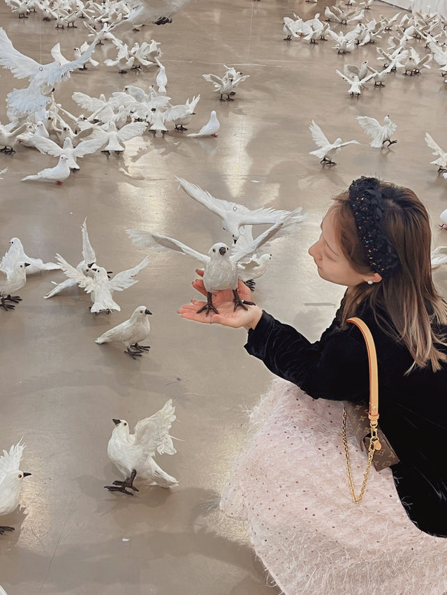 北京新展，上萬和平鴿詮釋新童話主義！