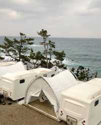 릴스로 많은 문의를 주셨던 신상 감성숙소 ⛺️🌲