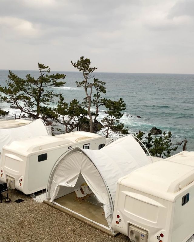 릴스로 많은 문의를 주셨던 신상 감성숙소 ⛺️🌲