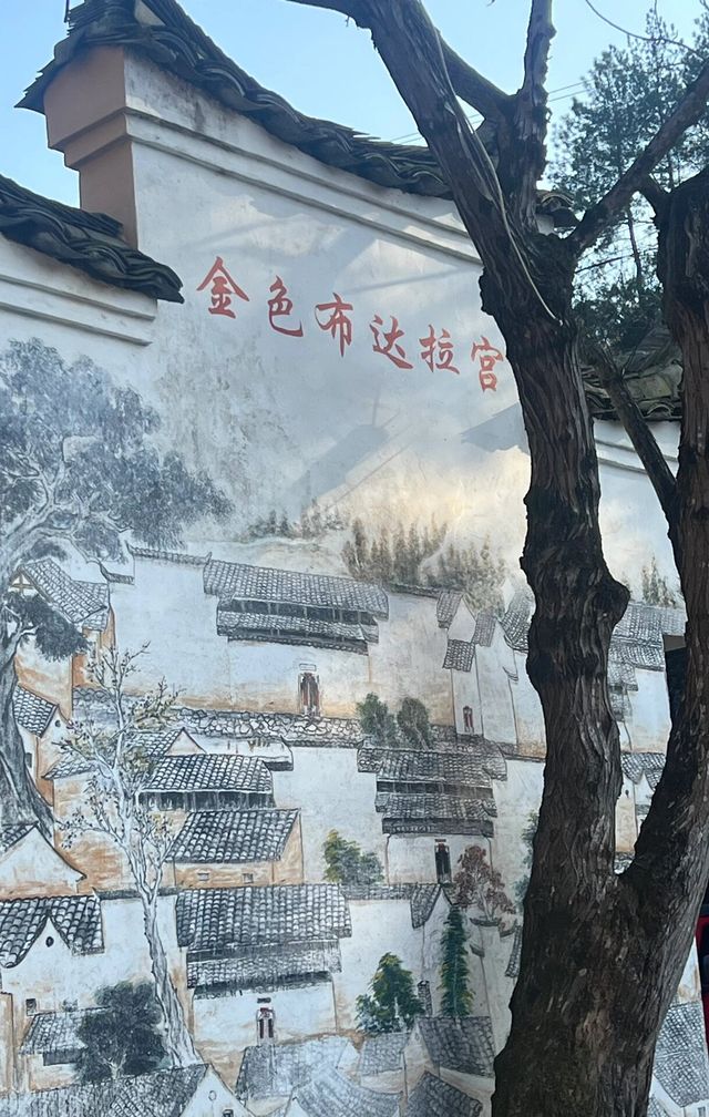 在麗水松陽｜藏在山裡的古村·楊家堂村