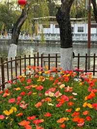 雲南昆明翠湖公園