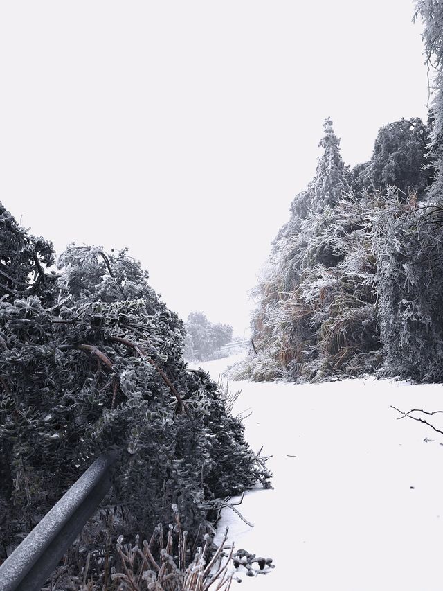 益陽也藏著自己的"長白山"