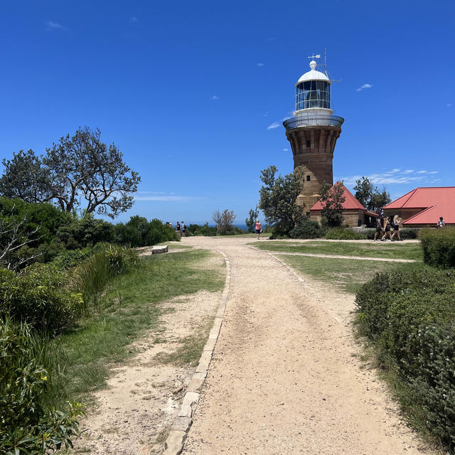 A Hidden Gem in Sydney 🏝️