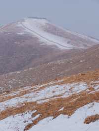 初春崇禮三樑｜又遇風雪交加的山野體驗