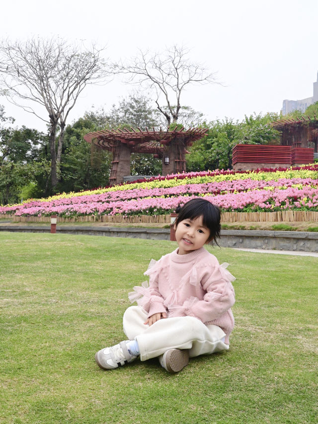 佛山春日賞花好去處，大片花海已開滿山坡