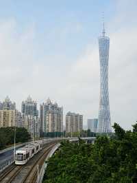 磨碟沙公園 | 廣州塔＆有軌電車＆最佳賞花拍攝地