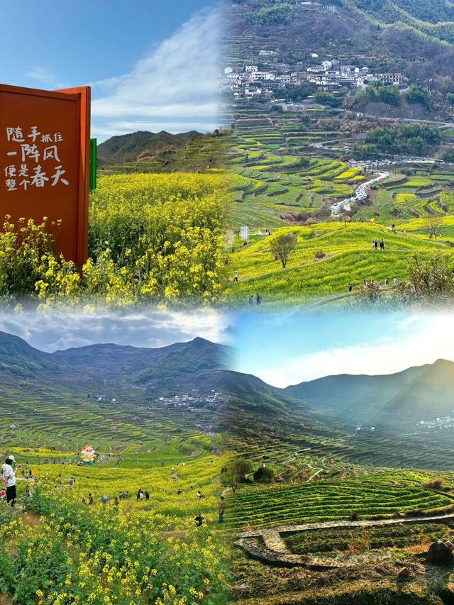 紹興覆卮山千年梯田油菜花海太浪漫了 紹興覆卮山千年梯田油菜花海太浪漫了