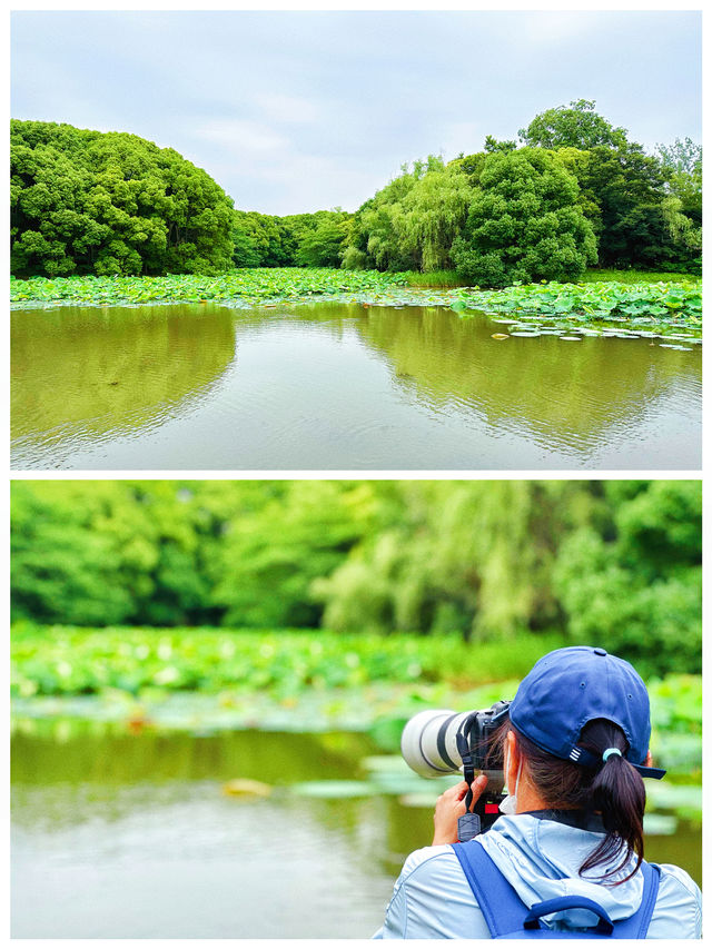 世紀公園｜攝影大咖拍鳥我拍攝影大咖