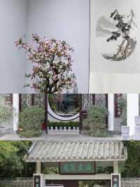 鄭州碧沙崗海棠賞花攻略，碼住賞花不迷路