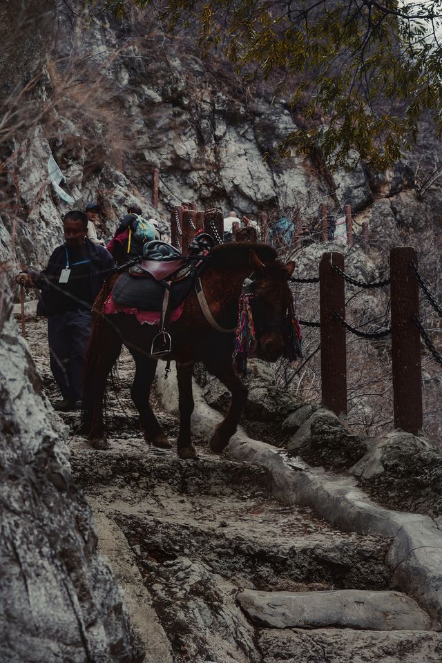 金口河大峽谷～古路村