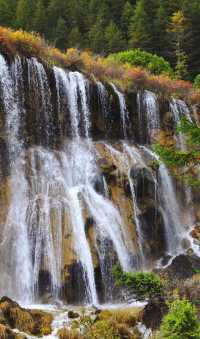九寨溝一片古老的仙境，令人心馳神往——諾日朗瀑布