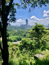 銀湖山郊野公園
