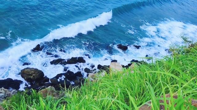 行走在濟州島上 行走在濟州島上