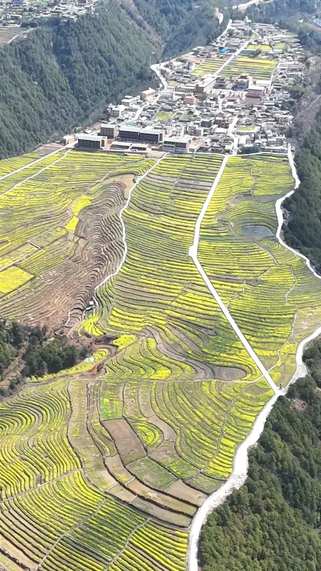 Đi bộ vào Hengduan, băng qua ba con sông, đi bộ đường dài ở Bingzhongluo