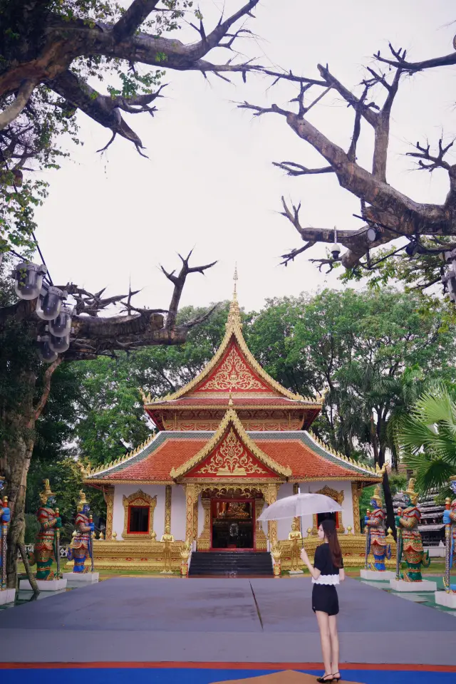 ฝนตกที่ Splendid China มีความงามอีกแบบหนึ่ง