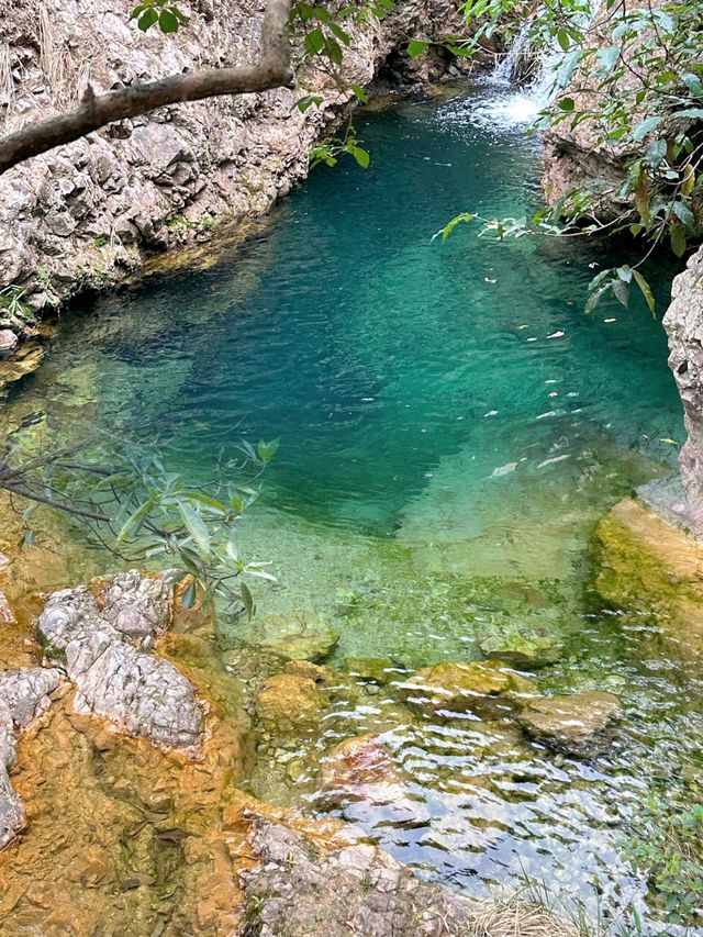 佛山｜南海灣森林生態園吸氧戲水好去處