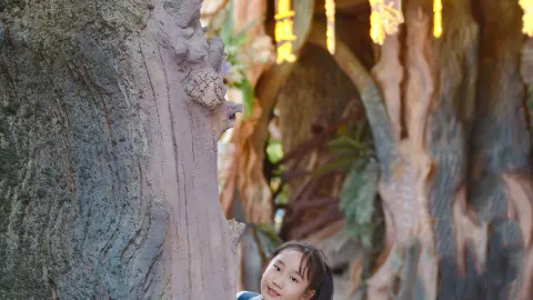 강절호 친자 게임｜진짜 상하이 디즈니랜드에 있지 않습니다 — traveler post in 서양