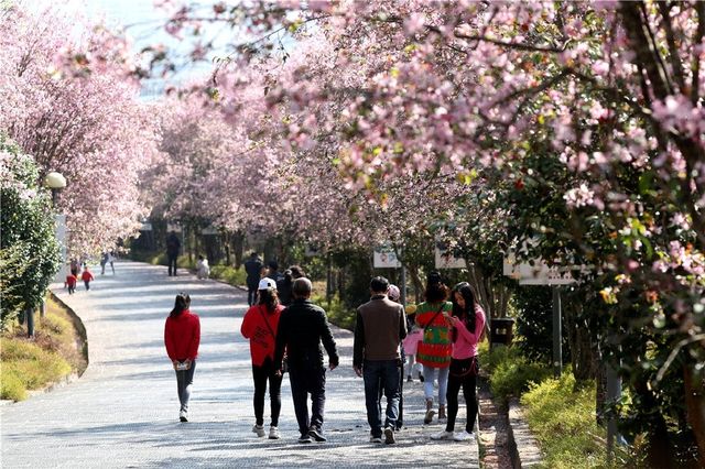 雲南騰沖：綠茵盎然的城市，旅居好地方！