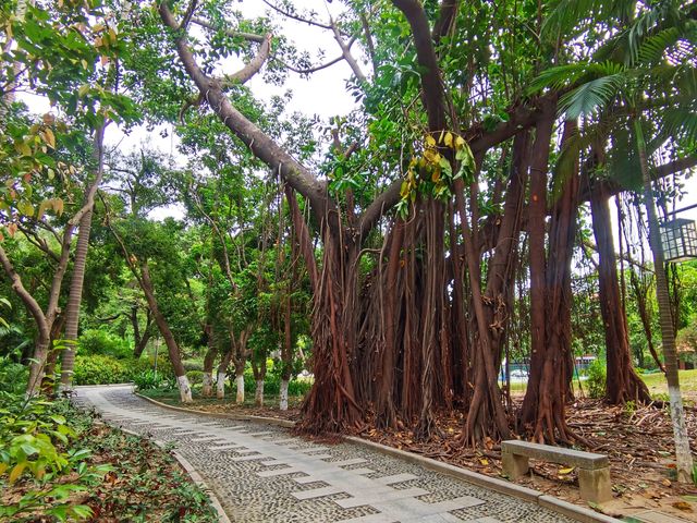 泉州芳草園，位於鯉城區新門街，佔地93畝，至今保留，擁有三百多年歷史