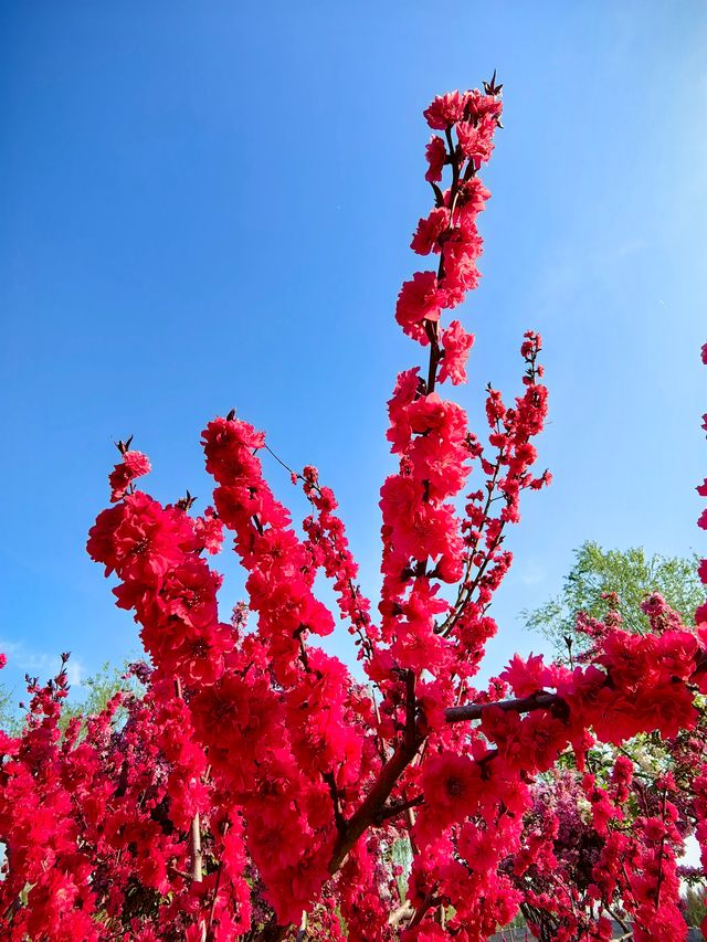 商丘漢梁文化公園