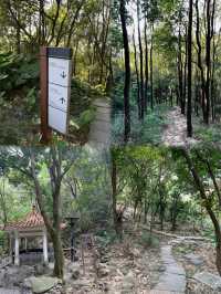 【深圳鳳凰山都市秘境探索與3小時祈福奇妙行
