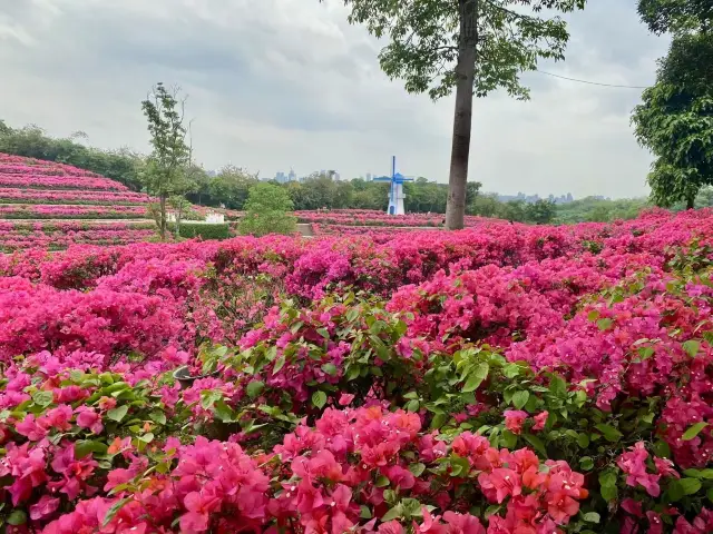 南宁Citywalk 南宁青秀山