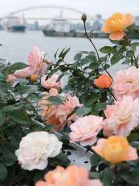 上海賞花已經next level徐匯濱江花展浪漫住了