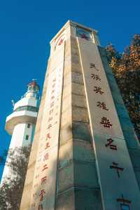 為了擱淺的鯨專門來了一趟煙台，浪漫哭了