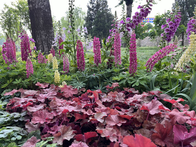 北京龍潭中湖公園——「您好，花園城市」