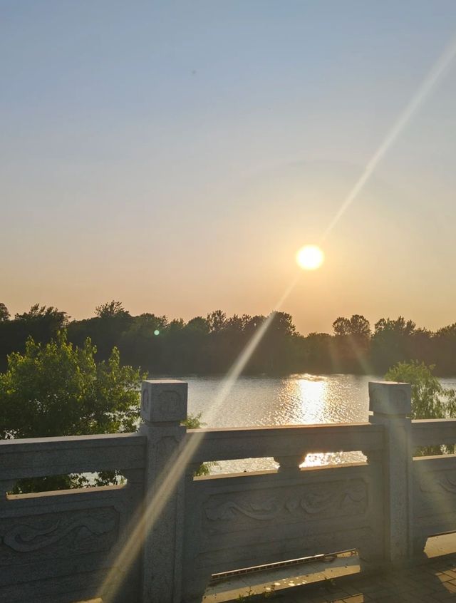 阜陽露營好去處｜太和濕地公園