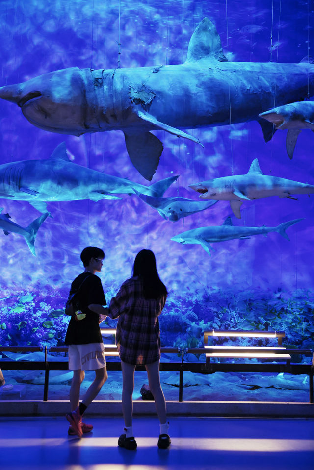 這不是海洋館！是廣東省博物館！避暑又避雨