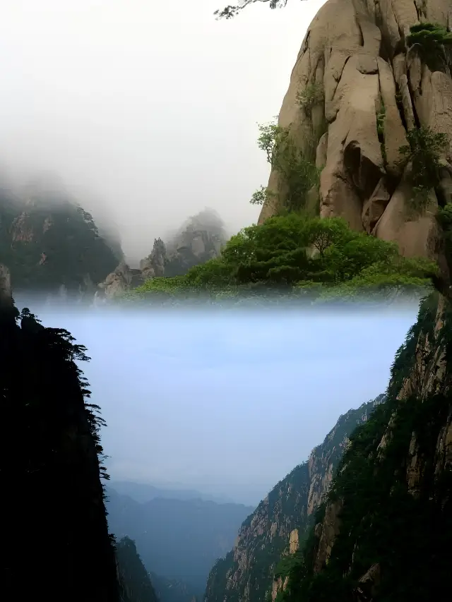 Exploring Huangshan, encountering true wisdom atop the sea of clouds