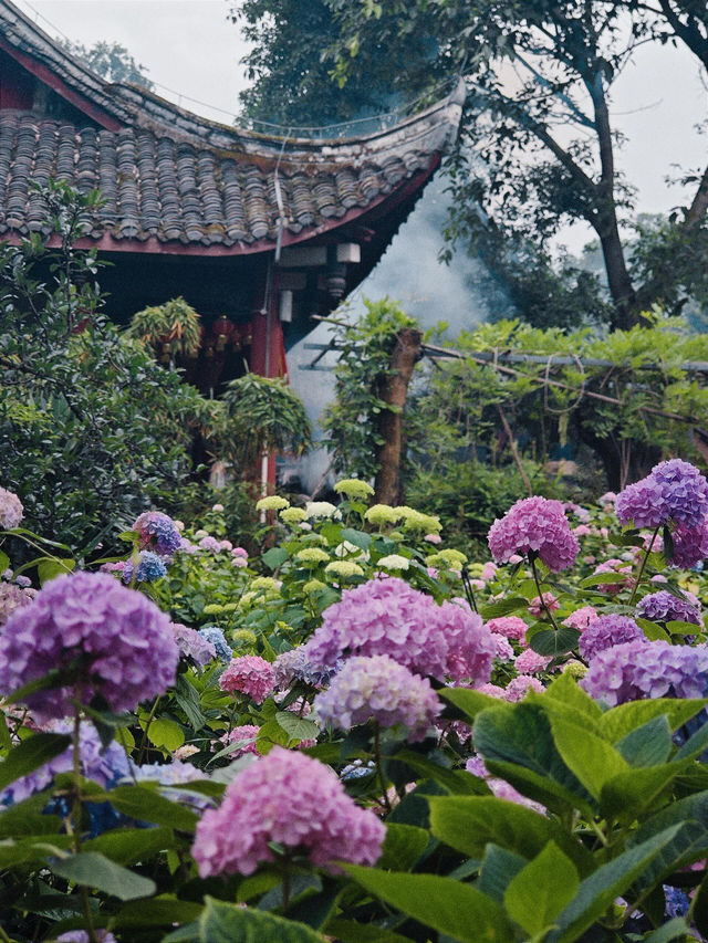 德陽 綿竹一日遊