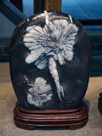 上海遊龍石文化科普館